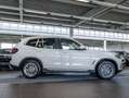 BMW X3 xDrive30e HUD RFK NAVI LED Sound Syst. DAB Wit - thumbnail 4