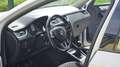 Skoda Octavia Octavia Combi 1,6 TDI Drive Weiß - thumbnail 20