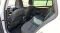 Skoda Octavia Octavia Combi 1,6 TDI Drive Weiß - thumbnail 8