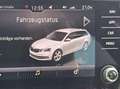 Skoda Octavia Octavia Combi 1,6 TDI Drive Weiß - thumbnail 18