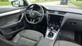 Skoda Octavia Octavia Combi 1,6 TDI Drive Weiß - thumbnail 14