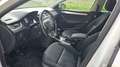 Skoda Octavia Octavia Combi 1,6 TDI Drive Weiß - thumbnail 15