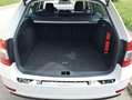 Skoda Octavia Octavia Combi 1,6 TDI Drive Weiß - thumbnail 9