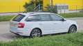 Skoda Octavia Octavia Combi 1,6 TDI Drive Weiß - thumbnail 11