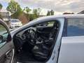 Volvo V40 2.0 T4 Bns Sport Bianco - thumbnail 6