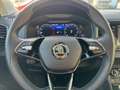 Skoda Karoq Style 2.0 TDI ACC AHK eSITZE MATRIX Grau - thumbnail 21