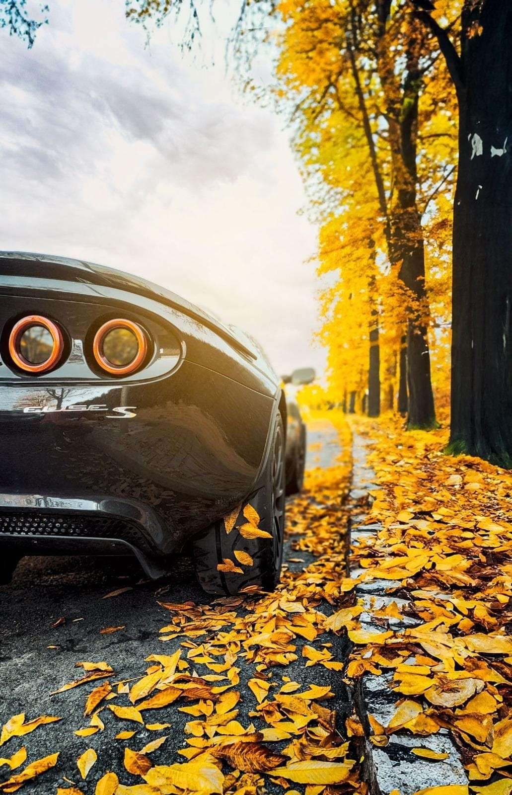 Lotus Elise 1.8 S/C - foto 1