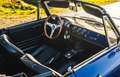 Alfa Romeo Spider Duetto 1750 Blauw - thumbnail 11