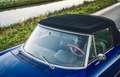 Alfa Romeo Spider Duetto 1750 Blue - thumbnail 9