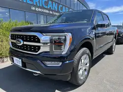 Ford F-150 Supercrew  PLATINUM 4x4