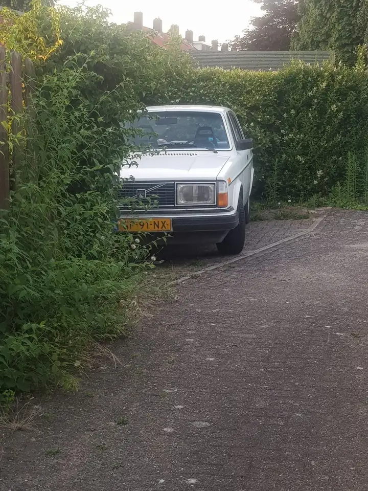 Volvo 240, foto 1
