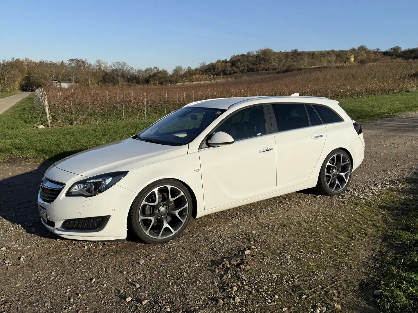 Opel Insignia Business Edition Weiß - 1