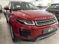 Land Rover Range Rover Evoque 2.0eD4 Pure 2WD 150 Rot - thumbnail 3