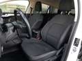 Ford Focus Turnier C&C 1,5 EcoBlue *17 ZOLL / LED / NAVI /... Weiß - thumbnail 11