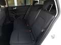 Ford Focus Turnier C&C 1,5 EcoBlue *17 ZOLL / LED / NAVI /... Weiß - thumbnail 12
