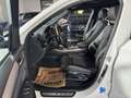 BMW X4 xDrive 20d Aut.*M-Paket*Wenig-KM* Weiß - thumbnail 16