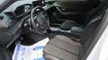 Peugeot 2008 2008 PureTech 130 S&S EAT8 GT Weiß - thumbnail 14
