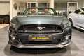 Ford Mustang GT*2HAND*REMUS AGA*CARPLAY*KAMERA*AMBIEN Groen - thumbnail 4