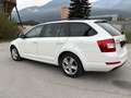Skoda Octavia Octavia Combi 1,6 Ambition TDI  DSG Ambition Weiß - thumbnail 9