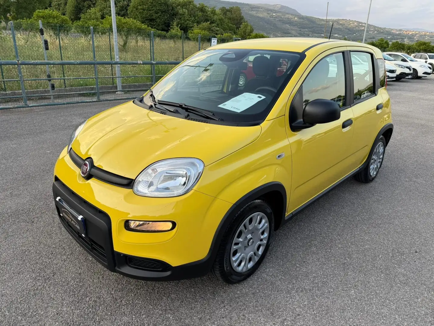 Fiat Panda Pandina 1.0 firefly hybrid - 1