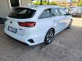 Kia Ceed SW / cee'd SW Ceed SW 1.6 crdi mhev Style 136cv dct Bianco - thumbnail 5
