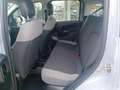 Fiat Panda 1.0 FireFly S&S Hybrid Gris - thumbnail 7