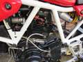 Ducati 900 SS Rouge - thumbnail 4