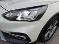 Ford Focus Active 1,5 EcoBlue Aut. *SKY / LED / NAVI / AHV... Blanc - thumbnail 15