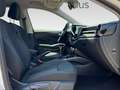 Skoda Fabia Fabia 1.0 mpi evo Style 80cv Bianco - thumbnail 13