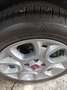 Fiat New Panda 4*4 twinair Verde - thumbnail 2