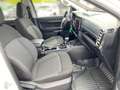 Ford Ranger XLT 2.0 Ecoblue Doppelkabine ACC PDC KAM bijela - thumbnail 10