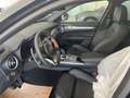 Alfa Romeo Stelvio 2.2 Turbodiesel 210 CV AT8 Q4 Intensa Nero - thumbnail 15