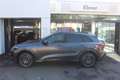 Audi SQ5 SUV TFSI Grau - thumbnail 3
