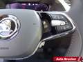 Skoda Superb Combi Premium Edition 2.0 TDI Leder Navi Schwarz - thumbnail 15