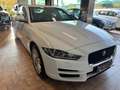 Jaguar XE 2.0d Portfolio awd 180cv*UNICOPRO*TAGLIANDI JAGUAR Blanco - thumbnail 3
