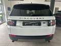 Land Rover Discovery Sport Discovery Sport 2.0 td4 SE awd 150cv auto Blanc - thumbnail 5