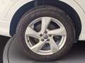 Audi Q3 40 2.0 tfsi business advanced quattro s-tronic Bianco - thumbnail 13