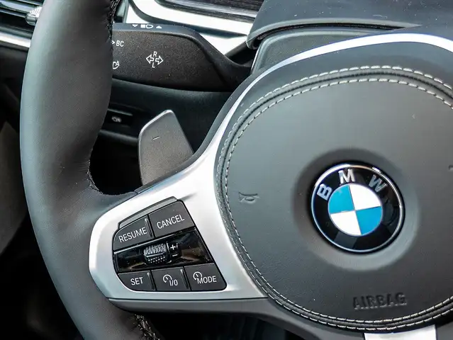 BMW X5 view 11