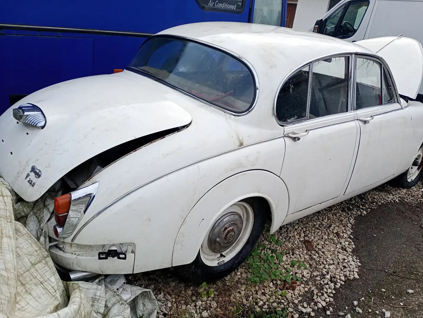 Daimler Super V8 250 v 8 - 1