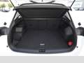 Volkswagen Tiguan Life 2.0 TDI DSG PANO+AHK+NAVI+LED+SHZ Weiß - thumbnail 7