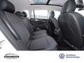 Volkswagen Tiguan Life 2.0 TDI DSG PANO+AHK+NAVI+LED+SHZ Weiß - thumbnail 10