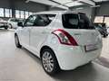 Suzuki Swift 1.3 DDiS 5p. GL ANCHE NEOPATENTATI Bianco - thumbnail 5