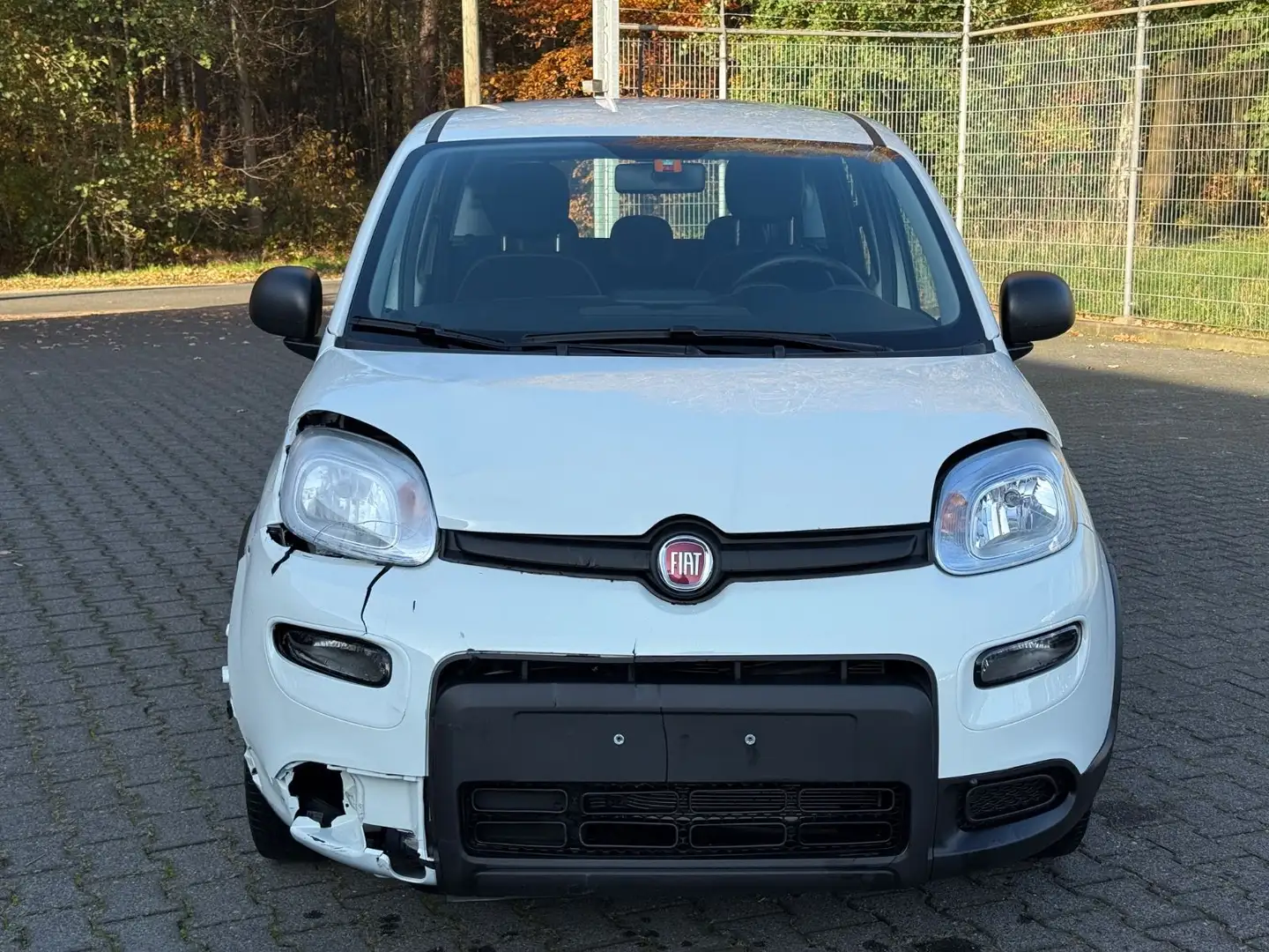 Fiat Panda 1.0 Hybrid * Klima * Komfort Paket * PDC Weiß - 2