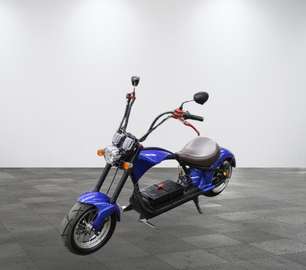 Rooder Snorscooter Mangosteen M1 Chopper 1e Eigena