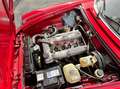 Alfa Romeo Spider 2000 Veloce Rouge - thumbnail 34