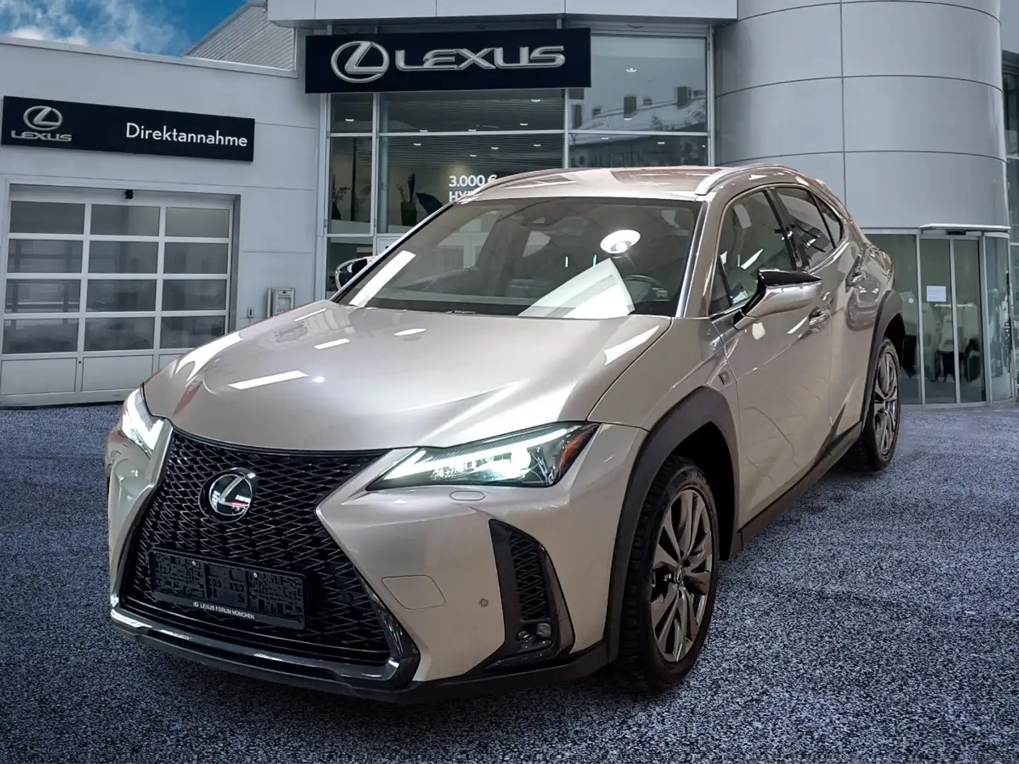 Lexus UX 250h F Sport Design *Cloud Navigation* Argento - 2