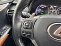 Lexus NX 300h Privilege Line Negro - thumbnail 23