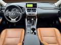 Lexus NX 300h Privilege Line Negro - thumbnail 17