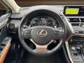 Lexus NX 300h Privilege Line Negro - thumbnail 22