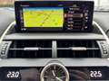 Lexus NX 300h Privilege Line Negro - thumbnail 18
